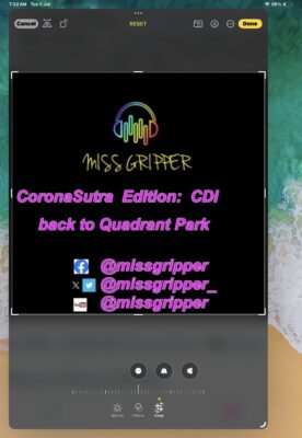 Miss gripper lady dj 