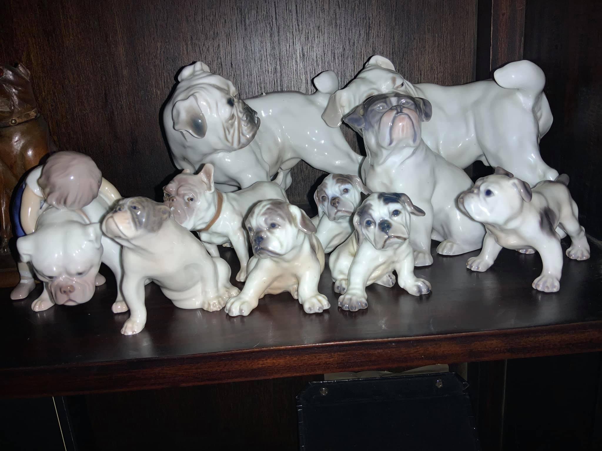 English Bulldog Collectibles ! What’s so special then 2024