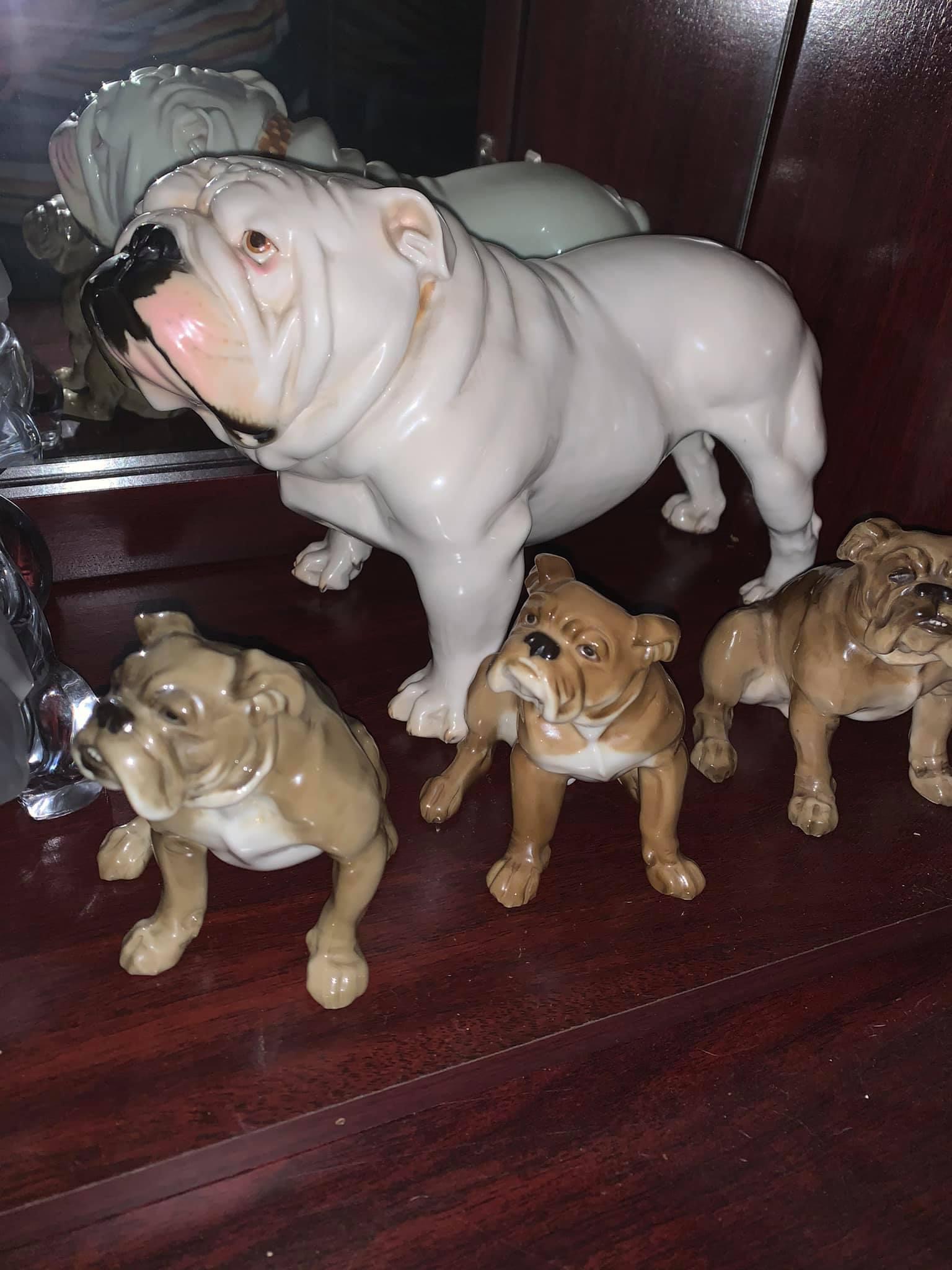 English Bulldog Collectibles ! What’s so special then 2024 Brighton based 