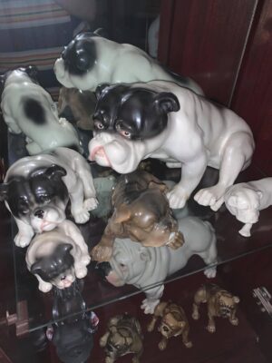 English Bulldog Collectibles ! What’s so special then 2024 Brighton based 